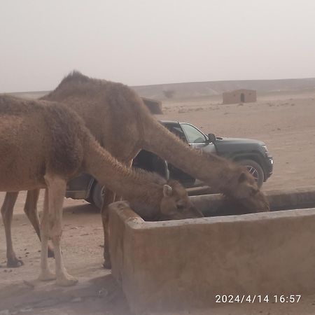 Hotel Chegaga Berber Camps M'Hamid El Ghizlane Exterior foto