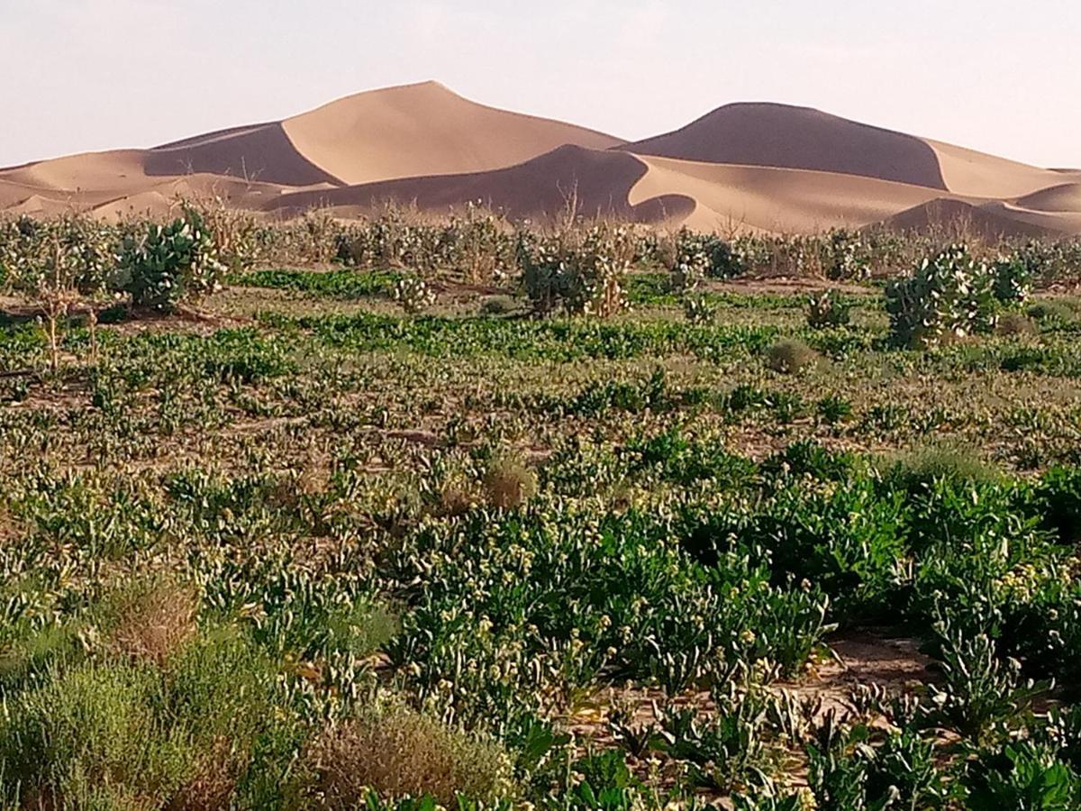 Hotel Chegaga Berber Camps M'Hamid El Ghizlane Exterior foto
