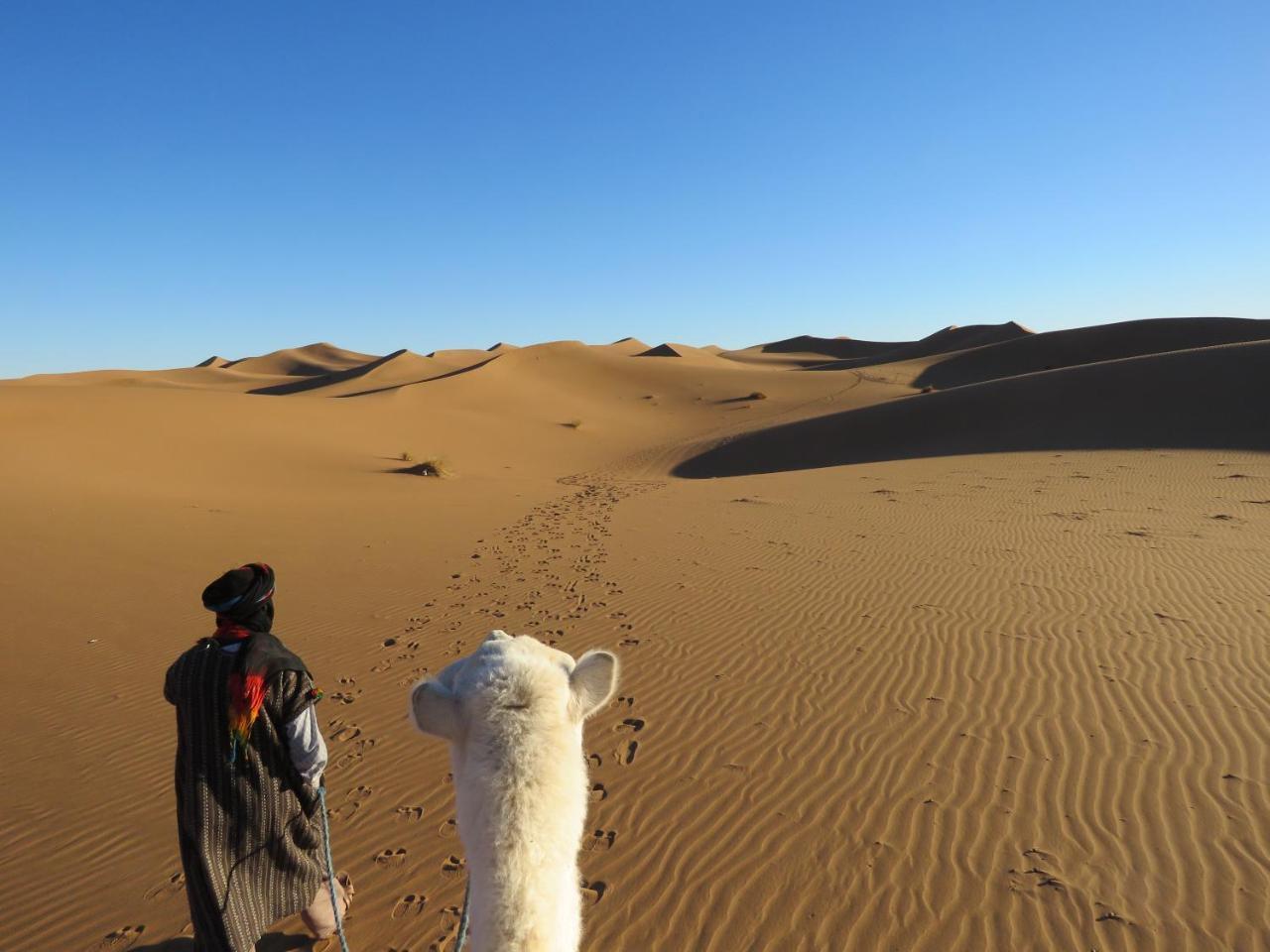 Hotel Chegaga Berber Camps M'Hamid El Ghizlane Exterior foto